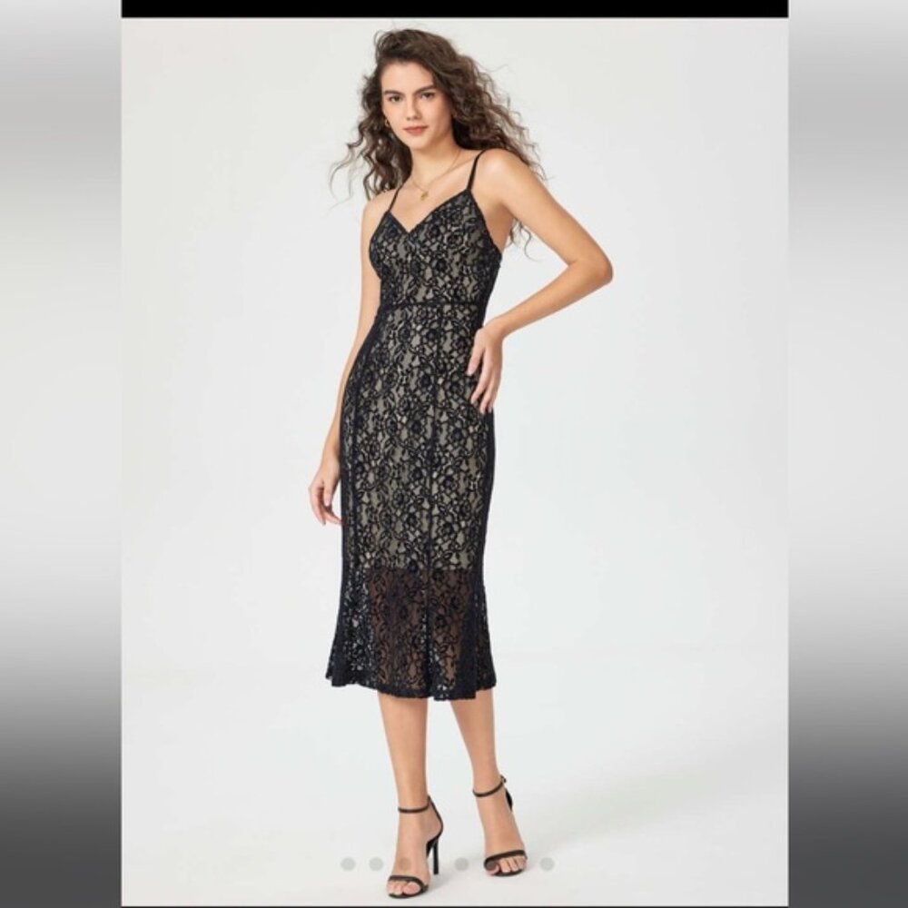Cider Black Lace with Nude Underlay Dress  3